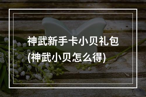 神武新手卡小贝礼包(神武小贝怎么得)