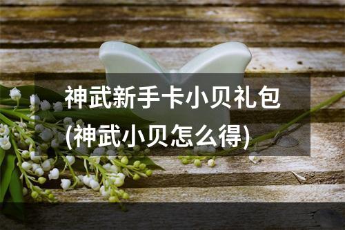 神武新手卡小贝礼包(神武小贝怎么得)