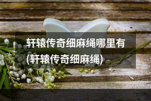 轩辕传奇细麻绳哪里有(轩辕传奇细麻绳)