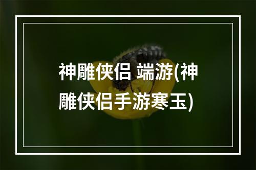 神雕侠侣 端游(神雕侠侣手游寒玉)