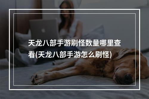 天龙八部手游刷怪数量哪里查看(天龙八部手游怎么刷怪)