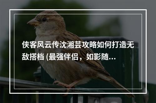 侠客风云传沈湘芸攻略如何打造无敌搭档 (最强伴侣，如影随形)