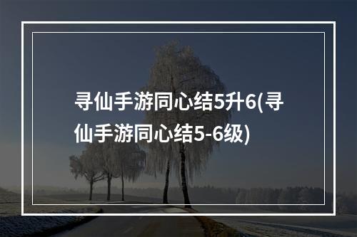 寻仙手游同心结5升6(寻仙手游同心结5-6级)