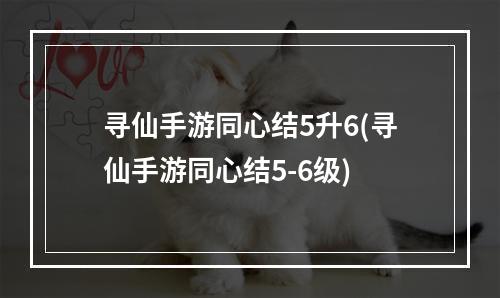 寻仙手游同心结5升6(寻仙手游同心结5-6级)