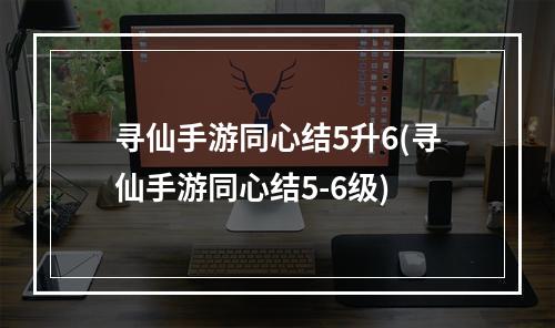 寻仙手游同心结5升6(寻仙手游同心结5-6级)