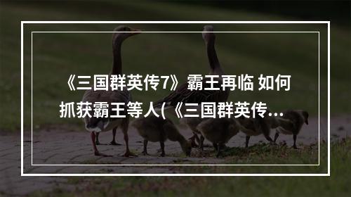 《三国群英传7》霸王再临 如何抓获霸王等人(《三国群英传7》霸王再临 如何抓获霸王等人)