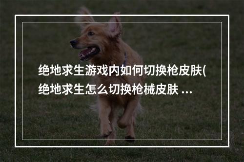 绝地求生游戏内如何切换枪皮肤(绝地求生怎么切换枪械皮肤 绝地求生切换枪械皮肤方法)