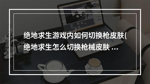 绝地求生游戏内如何切换枪皮肤(绝地求生怎么切换枪械皮肤 绝地求生切换枪械皮肤方法)