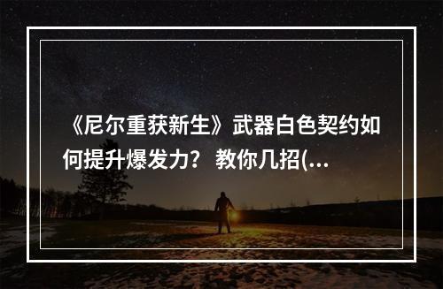 《尼尔重获新生》武器白色契约如何提升爆发力？ 教你几招(技巧大揭秘)