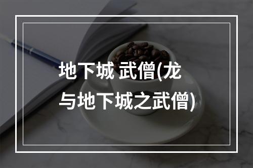 地下城 武僧(龙与地下城之武僧)