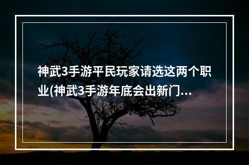 神武3手游平民玩家请选这两个职业(神武3手游年底会出新门派么)