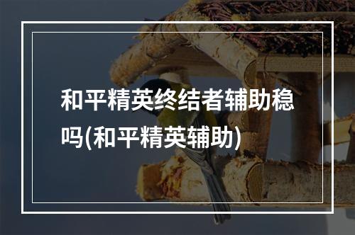 和平精英终结者辅助稳吗(和平精英辅助)