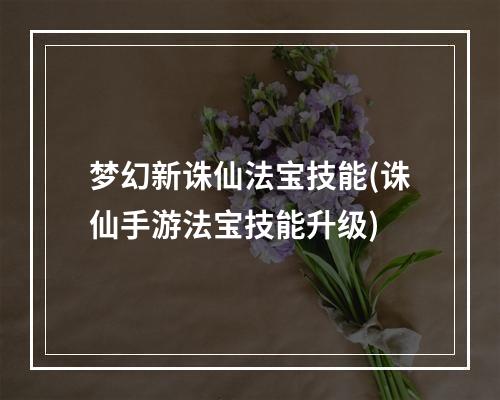 梦幻新诛仙法宝技能(诛仙手游法宝技能升级)