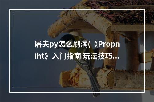 屠夫py怎么刷满(《Propniht》入门指南 玩法技巧及屠夫技能介绍地图)