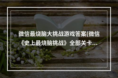 微信最烧脑大挑战游戏答案(微信《史上最烧脑挑战》全部关卡攻略答案汇总 机游 )