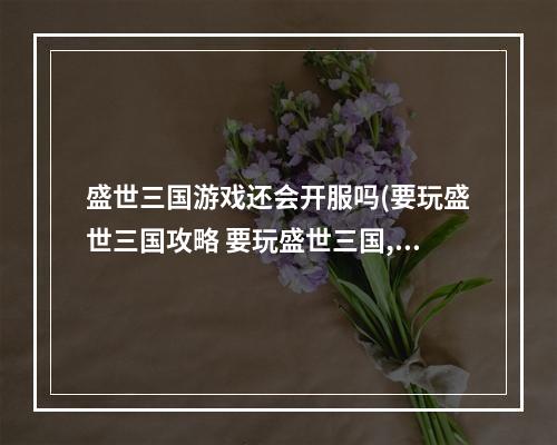 盛世三国游戏还会开服吗(要玩盛世三国攻略 要玩盛世三国,我不知道盛世三国咋玩)