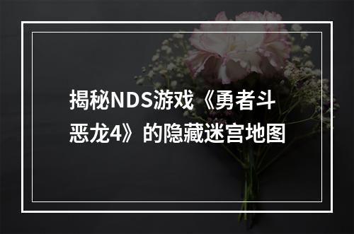 揭秘NDS游戏《勇者斗恶龙4》的隐藏迷宫地图