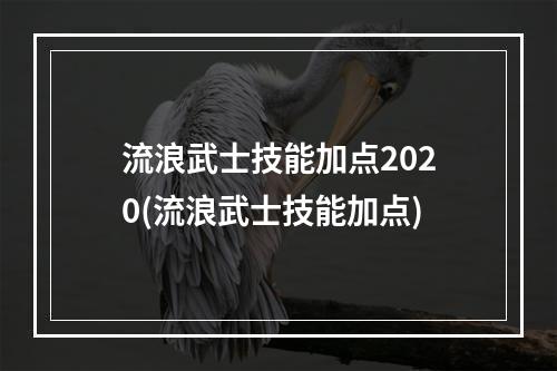 流浪武士技能加点2020(流浪武士技能加点)