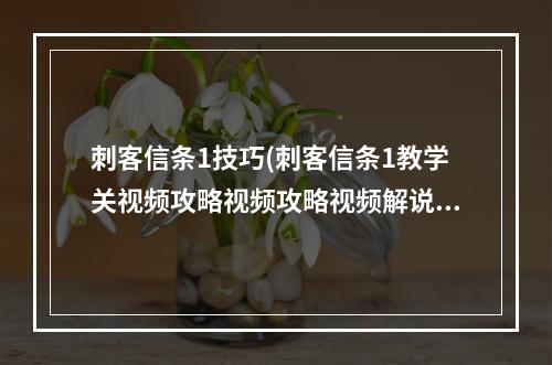 刺客信条1技巧(刺客信条1教学关视频攻略视频攻略视频解说)