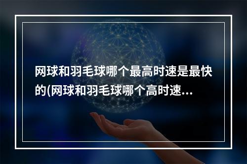 网球和羽毛球哪个最高时速是最快的(网球和羽毛球哪个高时速快)