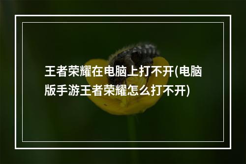 王者荣耀在电脑上打不开(电脑版手游王者荣耀怎么打不开)