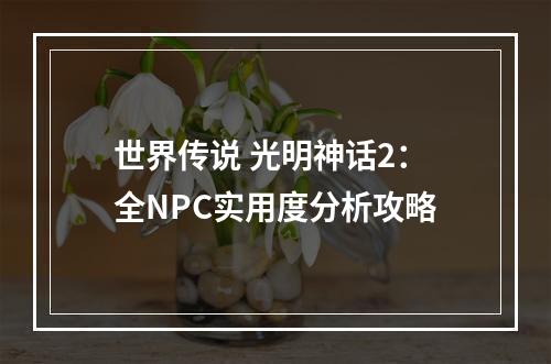 世界传说 光明神话2：全NPC实用度分析攻略