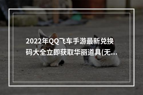 2022年QQ飞车手游最新兑换码大全立即获取华丽道具(无限惊喜)