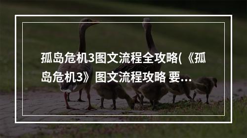 孤岛危机3图文流程全攻略(《孤岛危机3》图文流程攻略 要素收集教学关)