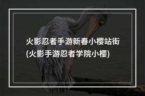 火影忍者手游新春小樱站街(火影手游忍者学院小樱)