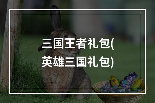 三国王者礼包(英雄三国礼包)