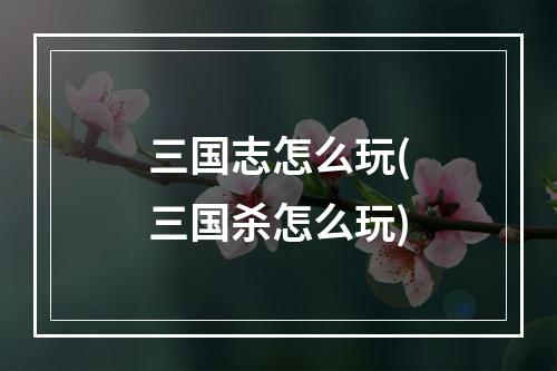 三国志怎么玩(三国杀怎么玩)