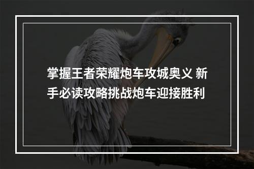 掌握王者荣耀炮车攻城奥义 新手必读攻略挑战炮车迎接胜利