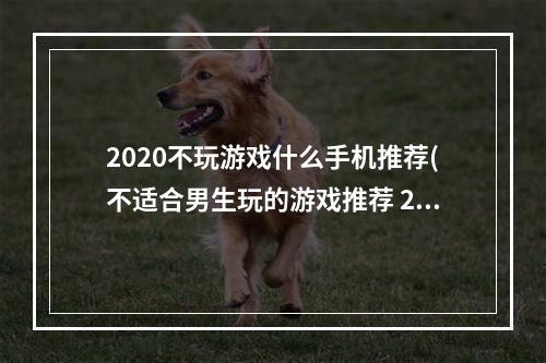 2020不玩游戏什么手机推荐(不适合男生玩的游戏推荐 2022不适合男生玩的游戏有哪些)