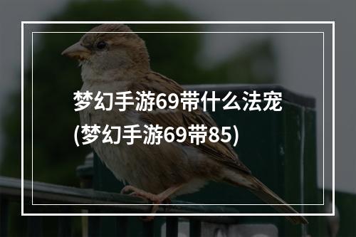 梦幻手游69带什么法宠(梦幻手游69带85)