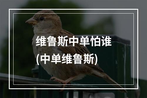 维鲁斯中单怕谁(中单维鲁斯)