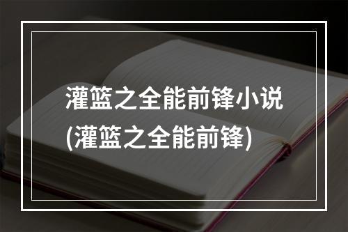 灌篮之全能前锋小说(灌篮之全能前锋)