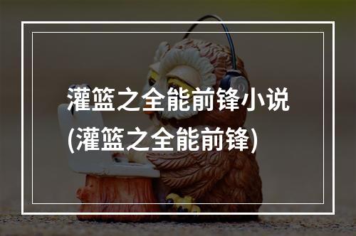 灌篮之全能前锋小说(灌篮之全能前锋)