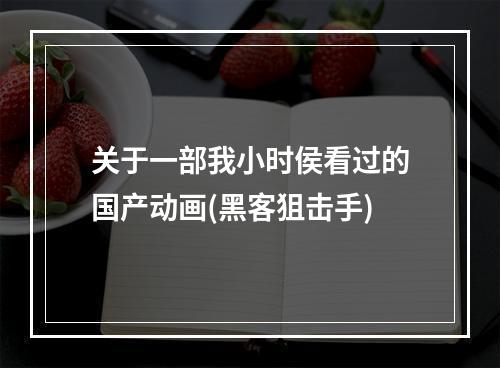 关于一部我小时侯看过的国产动画(黑客狙击手)