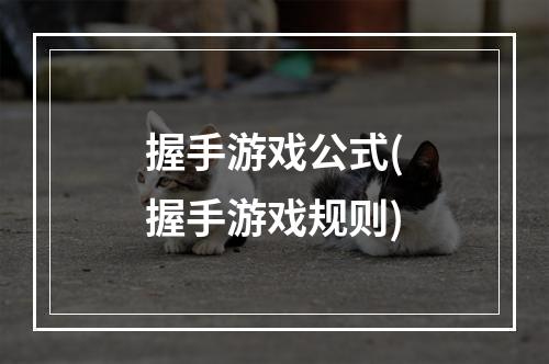 握手游戏公式(握手游戏规则)