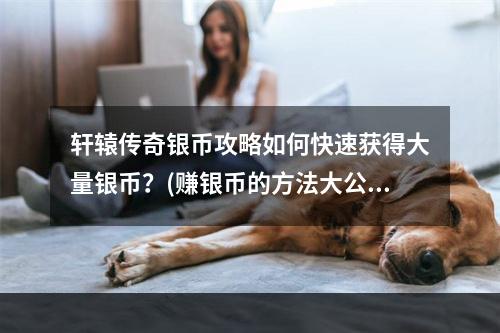 轩辕传奇银币攻略如何快速获得大量银币？(赚银币的方法大公开)(帮你get到轩辕传奇银币攻略不花钱也能玩转游戏(银币攻略大揭秘))