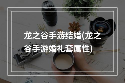 龙之谷手游结婚(龙之谷手游婚礼套属性)