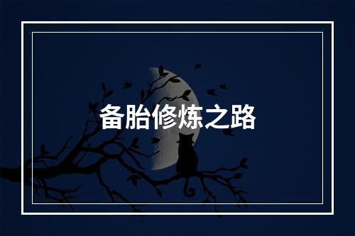 备胎修炼之路