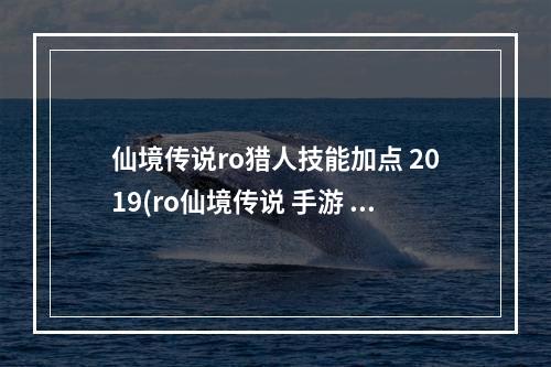 仙境传说ro猎人技能加点 2019(ro仙境传说 手游 猎人 技能加点)