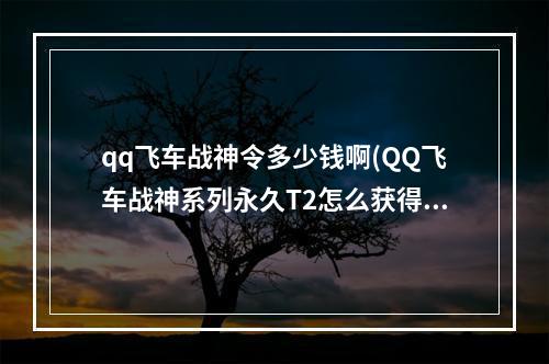 qq飞车战神令多少钱啊(QQ飞车战神系列永久T2怎么获得 QQ飞车战神系列永久T2)