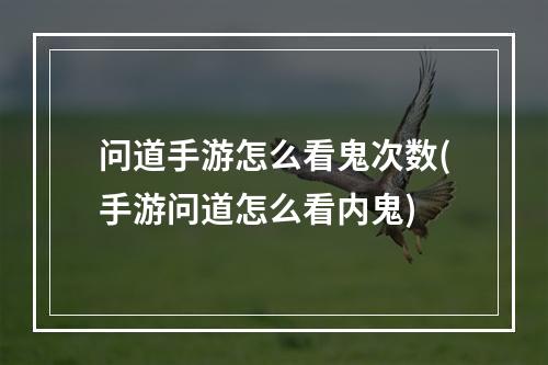 问道手游怎么看鬼次数(手游问道怎么看内鬼)