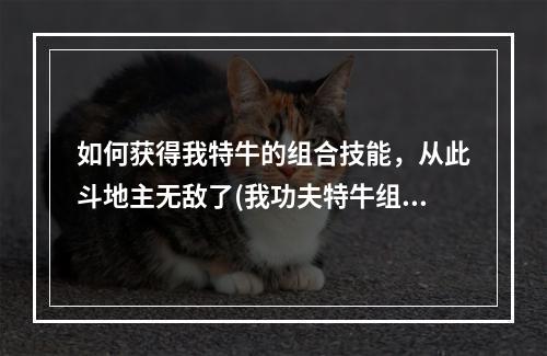 如何获得我特牛的组合技能，从此斗地主无敌了(我功夫特牛组合技的实现方法)