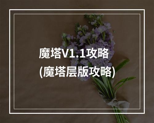 魔塔V1.1攻略(魔塔层版攻略)