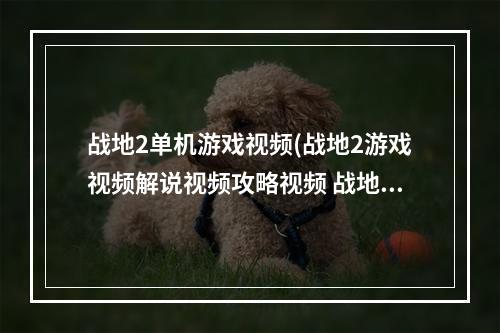 战地2单机游戏视频(战地2游戏视频解说视频攻略视频 战地4游戏视频)