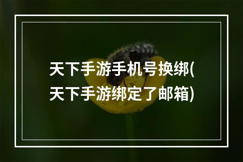 天下手游手机号换绑(天下手游绑定了邮箱)