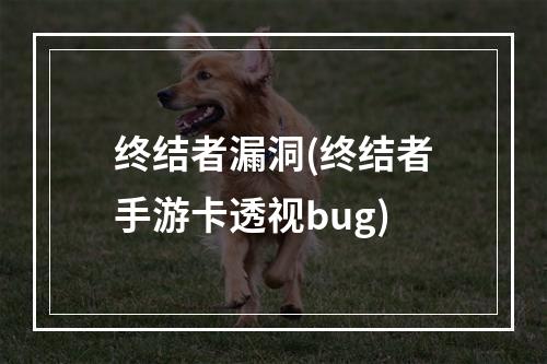 终结者漏洞(终结者手游卡透视bug)